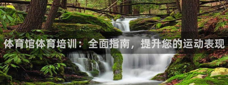 富联娱乐在线注册链接是什么：体育馆体育培训：全面指南