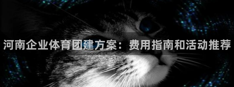 富联平台目 411O31 富联：河南企业体育团建方案