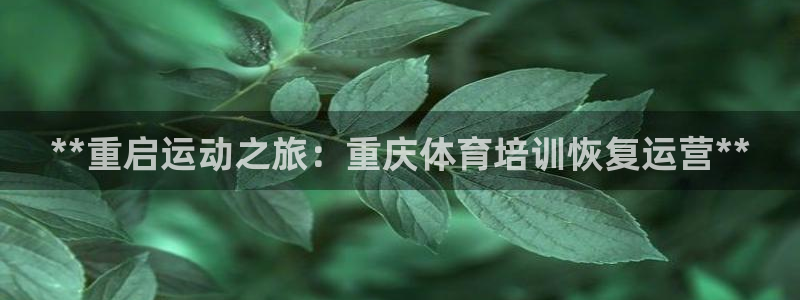 富联娱乐测速地址查询：**重启运动之旅：重庆体育培训