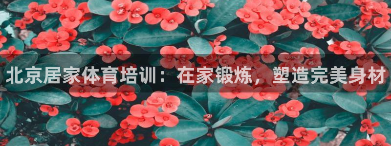 富联娱乐登录注册流程：北京居家体育培训：在家锻炼，塑