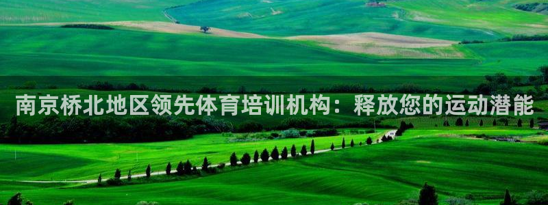 富联娱乐玩法机制介绍：南京桥北地区领先体育培训机构：