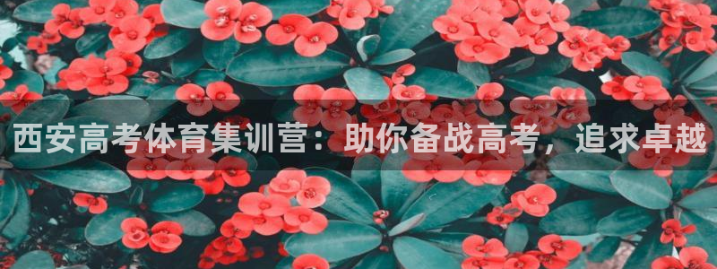 富联娱乐登录注册入口官网网址是什么：西安高考体育集训