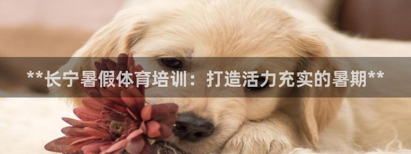 富联平台认可 585.34I 富联：**长宁暑假体育