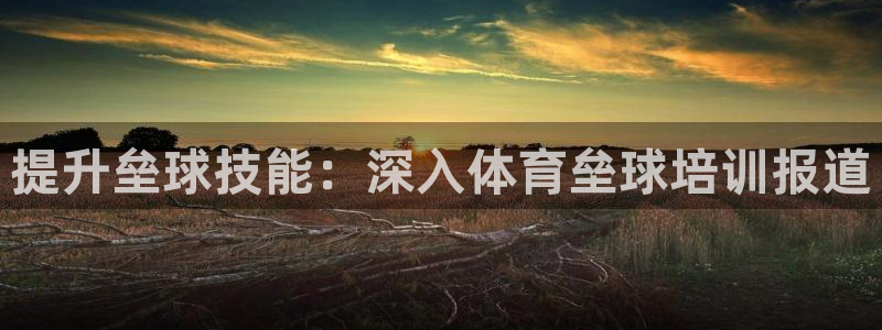 富联平台社7O777：提升垒球技能：深入体育垒球培训