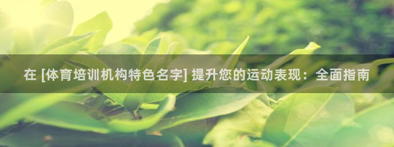富联娱乐总代理：在 [体育培训机构特色名字] 提升您