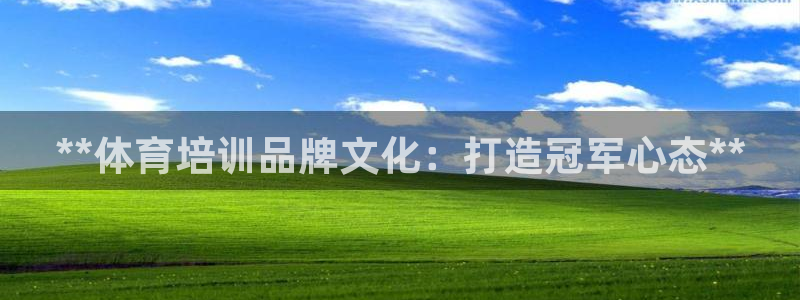 富联平台网站登录入口：**体育培训品牌文化：打造冠军