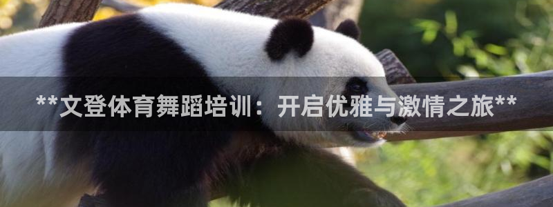 富联官网授权：**文登体育舞蹈培训：开启优雅与激情之