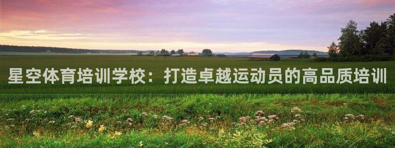 富联平台商 5O6917 平台：星空体育培训学校：打
