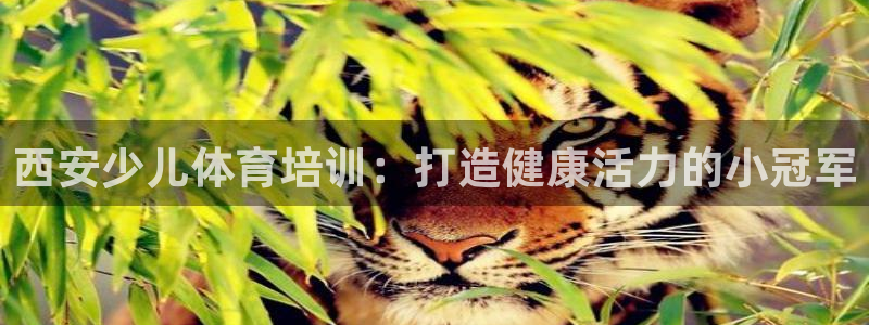 富联娱乐平台开户流程：西安少儿体育培训：打造健康活力