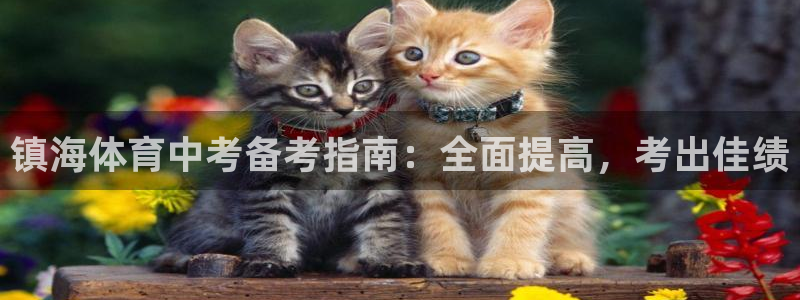 富联通讯招聘