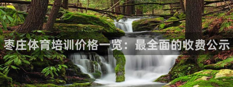 富联集团最新消息股价：枣庄体育培训价格一览：最全面的
