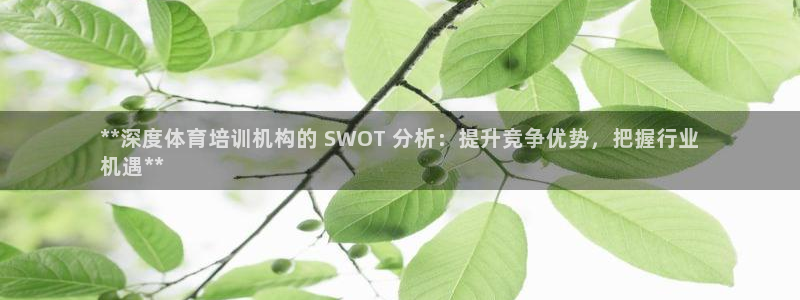 富联官网注册不了账号：**深度体育培训机构的 SWO