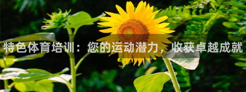 富联娱乐登录注册入口官网下载安装：特色体育培训：您的