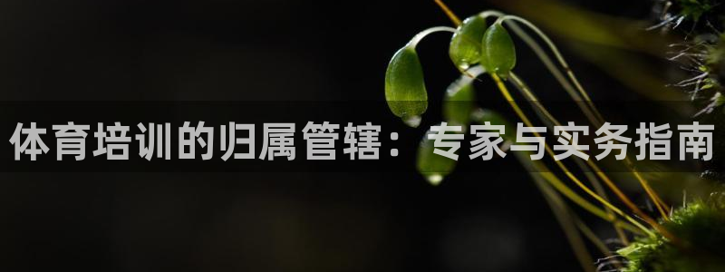 富联平台代理注册条件：体育培训的归属管辖：专家与实务
