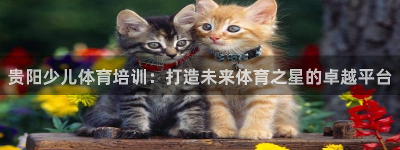 富联股份代码是多少：贵阳少儿体育培训：打造未来体育之