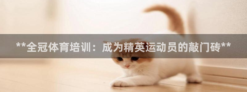 富联平台开户佣金多少：**全冠体育培训：成为精英运动