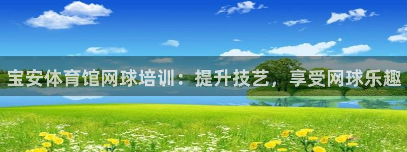 富联丰地产怎么样：宝安体育馆网球培训：提升技艺，享受