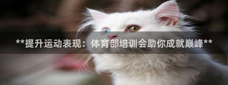 富联平台易 411o31 平台：**提升运动表现：体