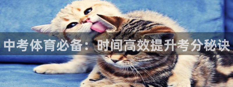 富联娱乐是真的吗：中考体育必备：时间高效提升考分秘诀