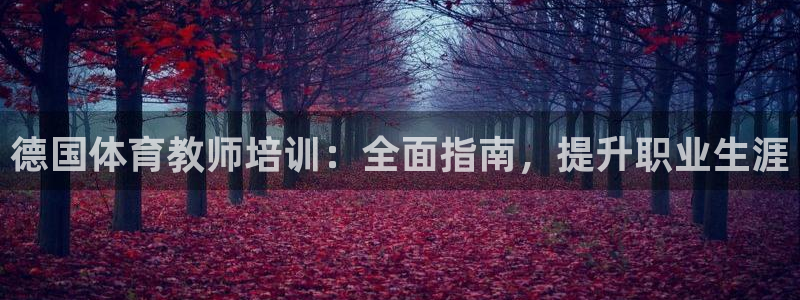 富联娱乐马 411O31 娱乐：德国体育教师培训：全