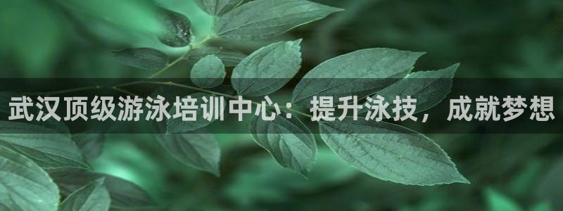 富联娱乐测速：武汉顶级游泳培训中心：提升泳技，成就梦