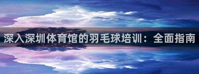 富联娱乐玩法机制：深入深圳体育馆的羽毛球培训：全面指