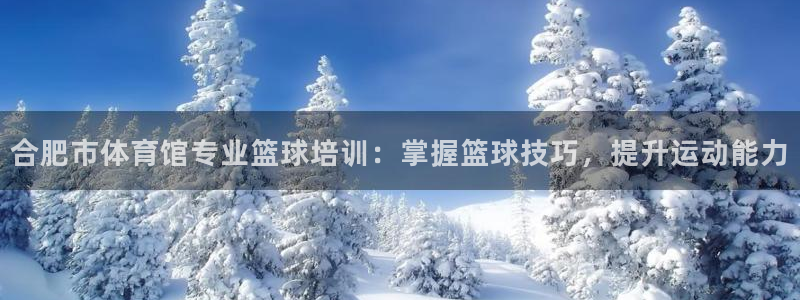 富联科技上市了吗最近：合肥市体育馆专业篮球培训：掌握