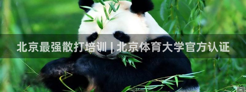 富联平台先选 58534I 富联：北京最强散打培训 | 北京