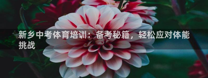 富联平台目 411O31 富联：新乡中考体育培训：备