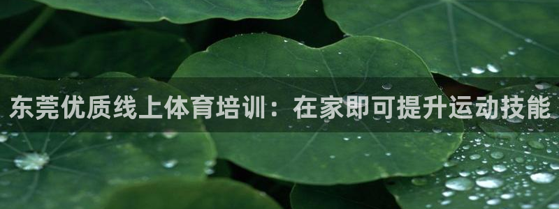 富联平台辉 411o31 富联：东莞优质线上体育培训：在家即