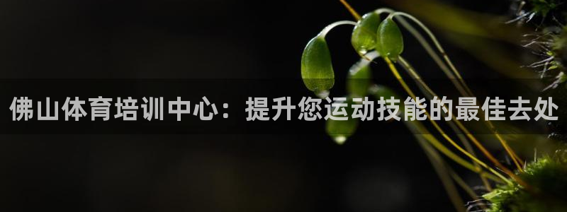 富联平台结7O777：佛山体育培训中心：提升您运动技