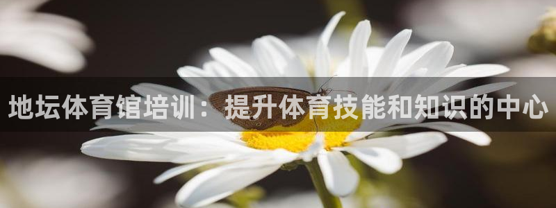 富联娱乐是真的吗：地坛体育馆培训：提升体育技能和知识