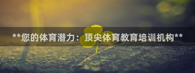 富联平台注册登录：**您的体育潜力：顶尖体育教育培训