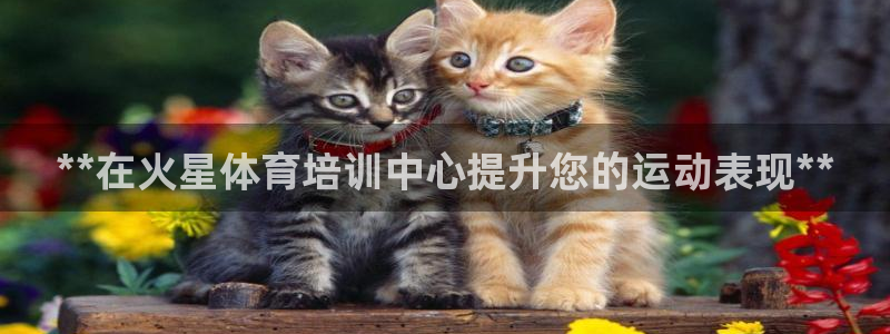 富联娱乐客户端app下载服务