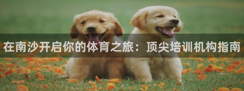 富联官方网站首页入口网址