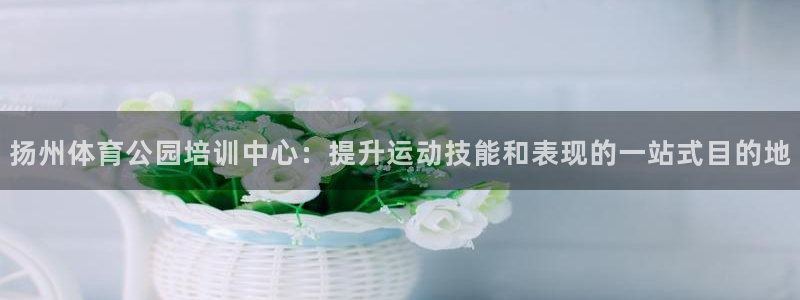 富联平台招商怎么样：扬州体育公园培训中心：提升运动技