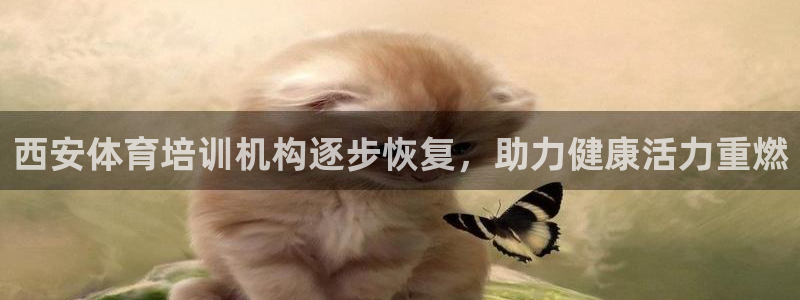 富联申购什么时候上市交易：西安体育培训机构逐步恢复，