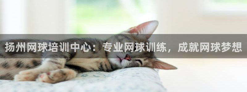 富联平台开户：扬州网球培训中心：专业网球训练，成就网