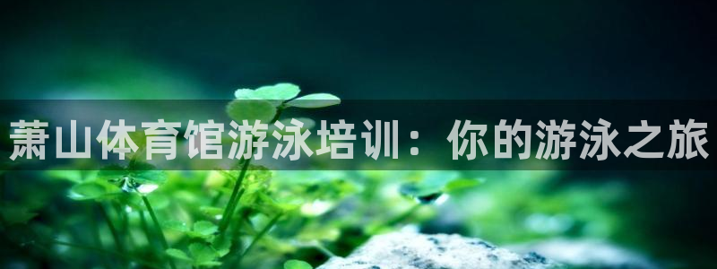 富联娱乐老板叫什么：萧山体育馆游泳培训：你的游泳之旅