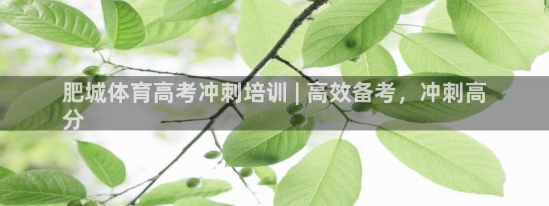 富联平台代理注册条件：肥城体育高考冲刺培训 | 高效