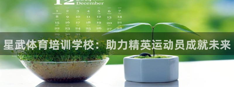 富联官网注册：星武体育培训学校：助力精英运动员成就未来