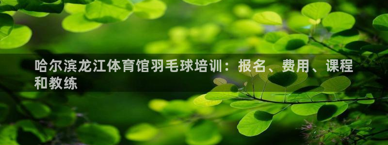 富联平台官网登录不了：哈尔滨龙江体育馆羽毛球培训：报