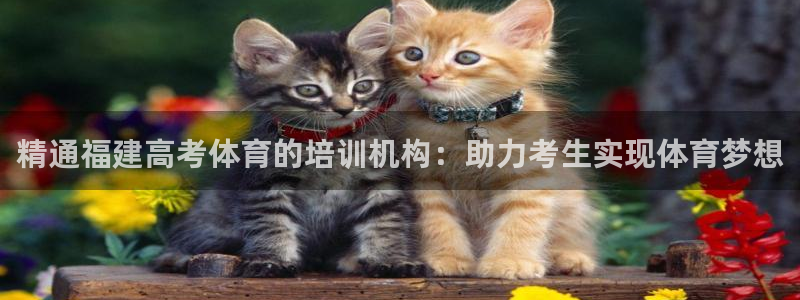 富联平台登录网址：精通福建高考体育的培训机构：助力考