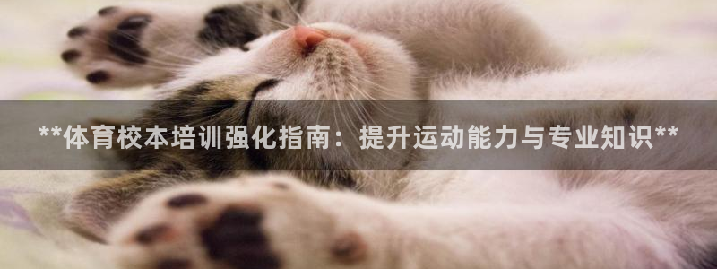 富联娱乐服务站：**体育校本培训强化指南：提升运动能力与专业