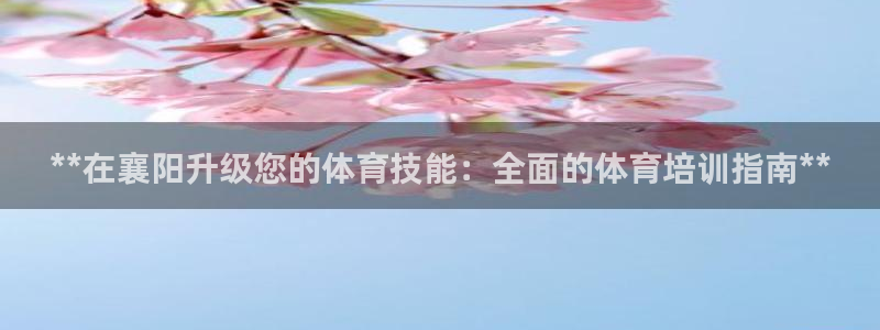 富联通讯招聘：**在襄阳升级您的体育技能：全面的体育培训指南