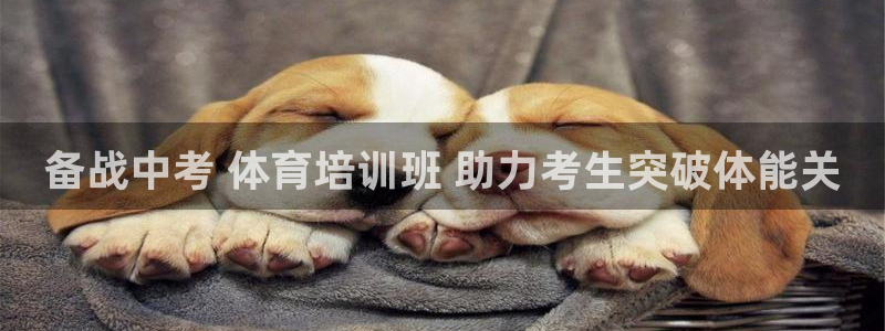 富联申购上市价格预测最新：备战中考 体育培训班 助力