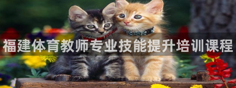 富联平台娱乐：福建体育教师专业技能提升培训课程