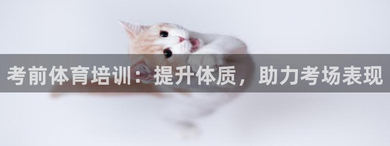 富联网是什么意思：考前体育培训：提升体质，助力考场表