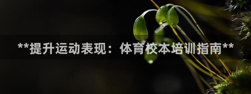 富联娱乐总代理电话：**提升运动表现：体育校本培训指
