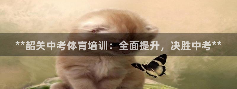 富联娱乐玩法机制是什么